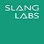 slang labs
